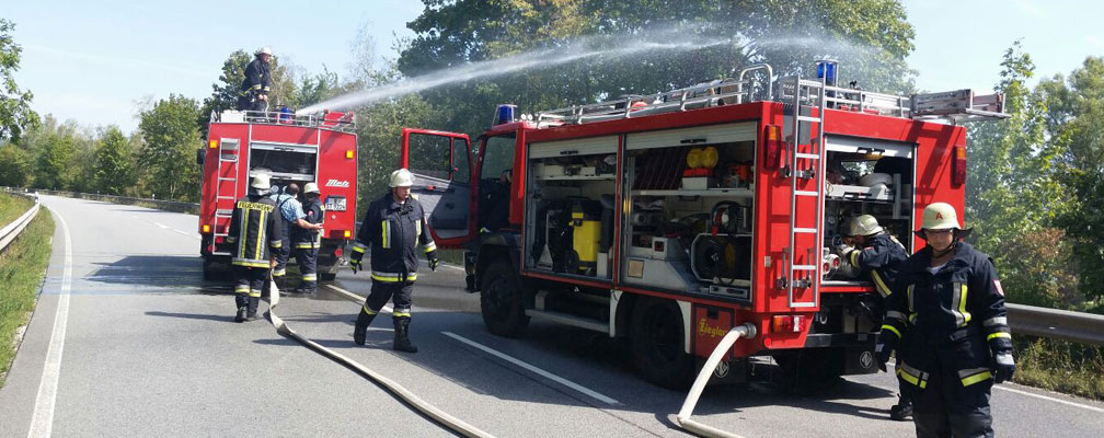 Mariaort, wiesenbrand im August